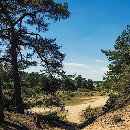 Noya Tinyhouse Veluwe Hoenderloo