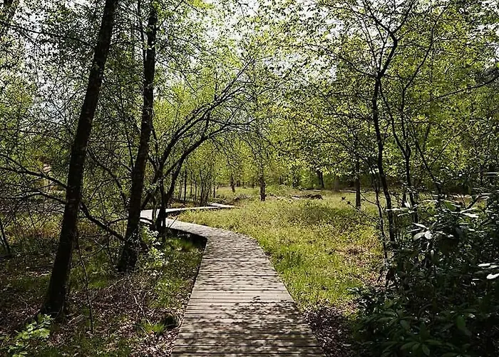 Noya Tinyhouse Veluwe *