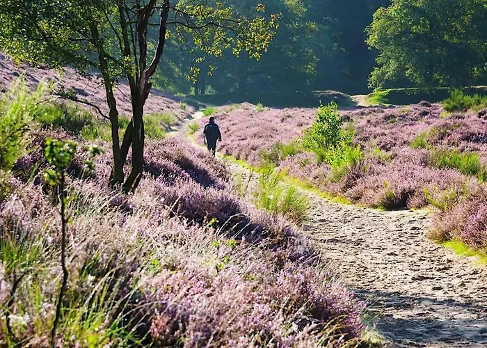 Noya Tinyhouse Veluwe Hoenderloo