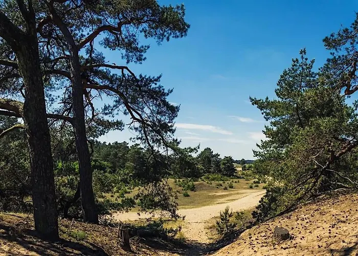 Noya Tinyhouse Veluwe Hoenderloo