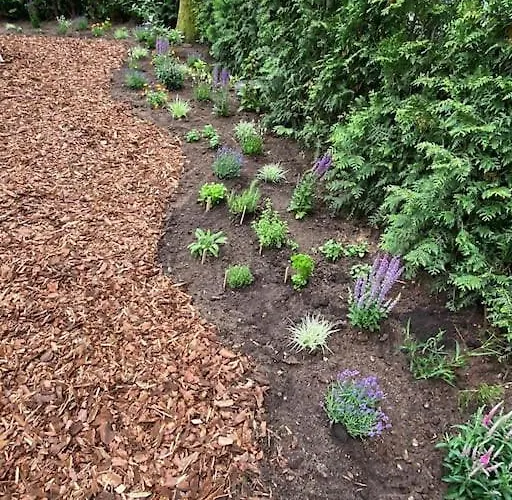 Noya Tinyhouse Veluwe Chalet